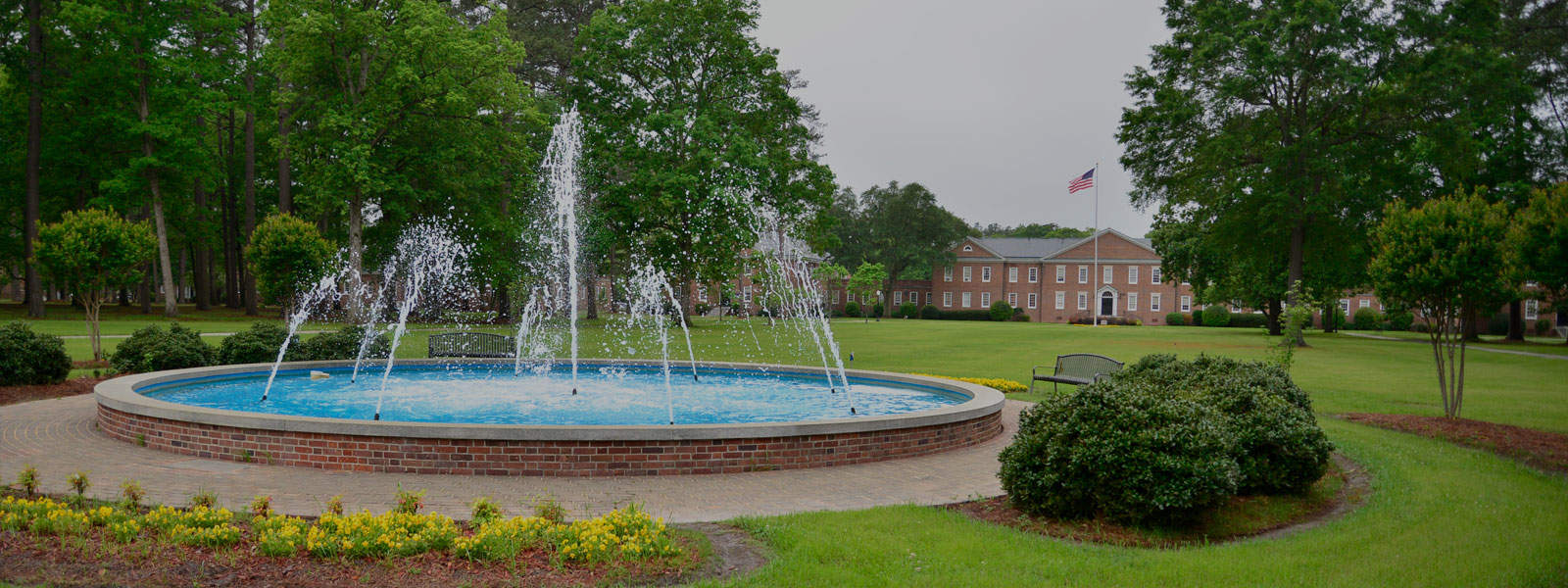 Alumni Resources | North Carolina Wesleyan University