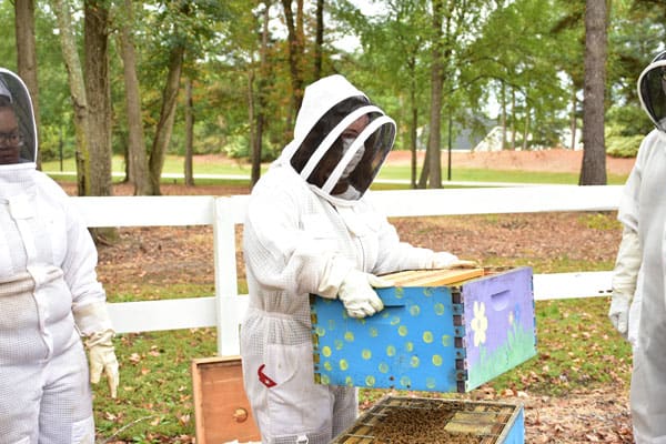 students handling bee hive