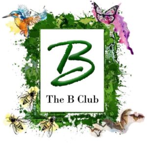 b club logo