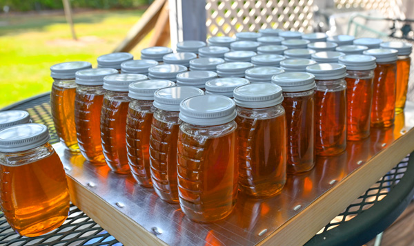 jars of honey