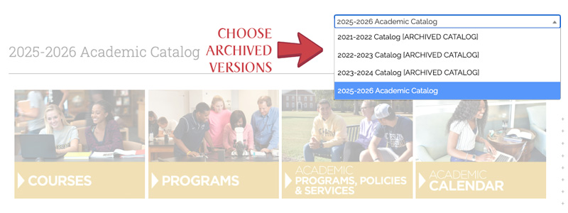 instructions to access catalog archives
